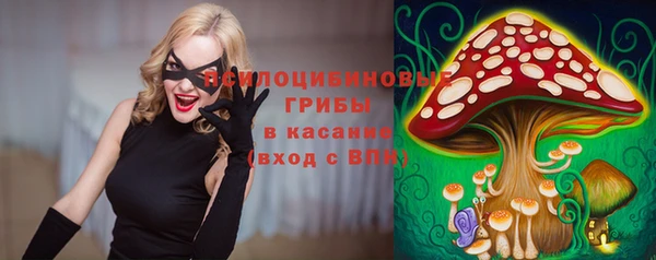 Альфа ПВП Абаза