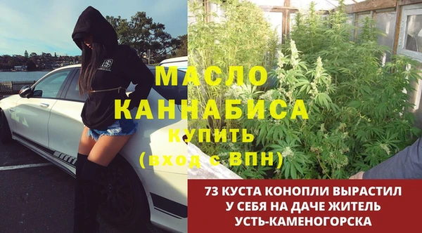 шишки Приозерск