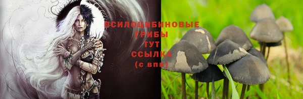 Альфа ПВП Абаза
