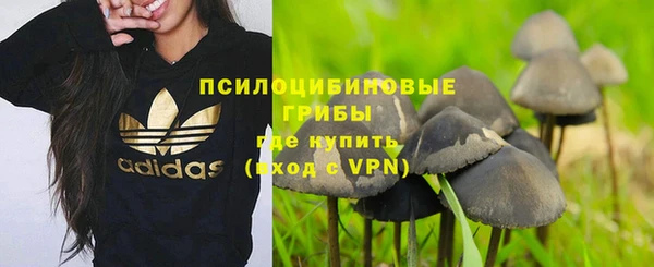 шишки Приозерск