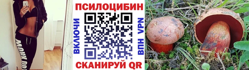 Галлюциногенные грибы Psilocybine cubensis  купить   omg ССЫЛКА  Дятьково 